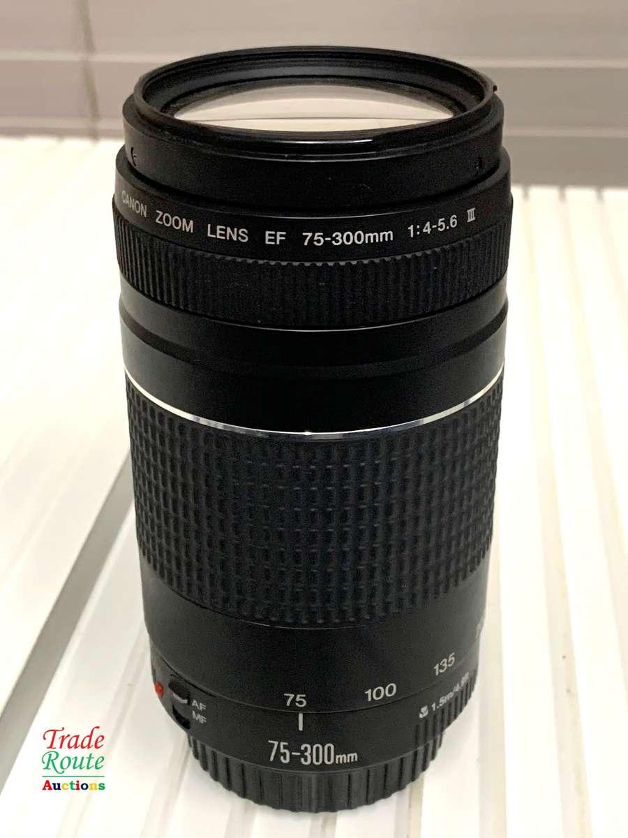 Canon 75-300mm Telephoto Zoom Lens