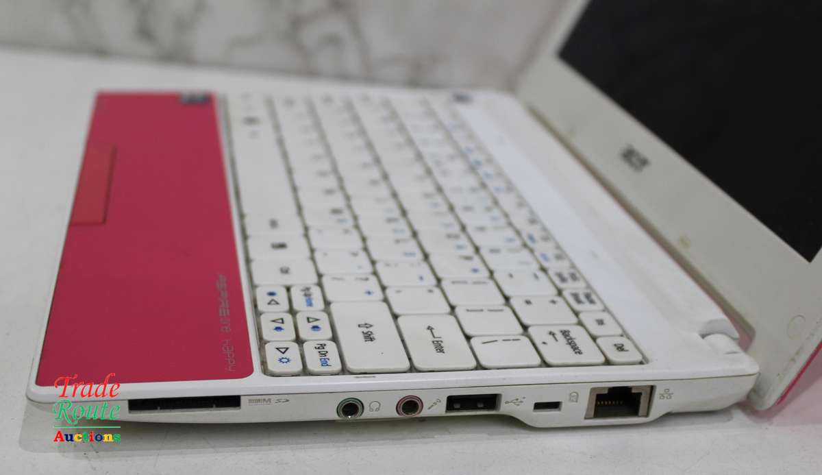 Acer Aspire One HAPPY Mini 10.1-inch Netbook Intel Atom N450, 1GB RAM, 250GB HDD