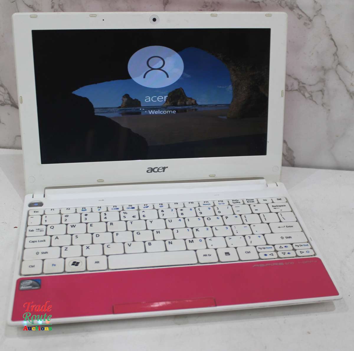Acer Aspire One HAPPY Mini 10.1-inch Netbook Intel Atom N450, 1GB RAM, 250GB HDD
