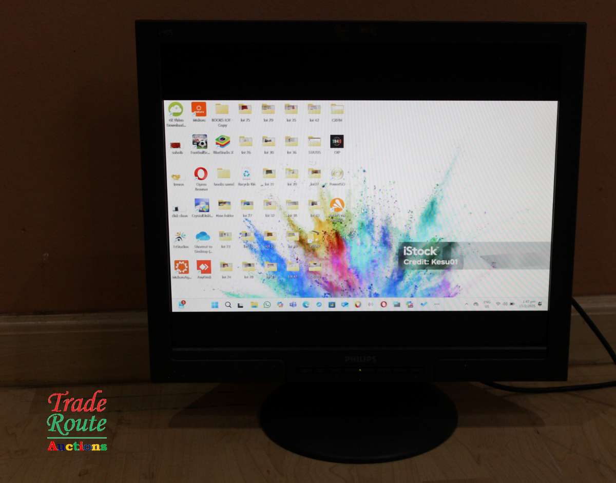 Philips 19 inch LCD Monitor 190S VGA DVI ports