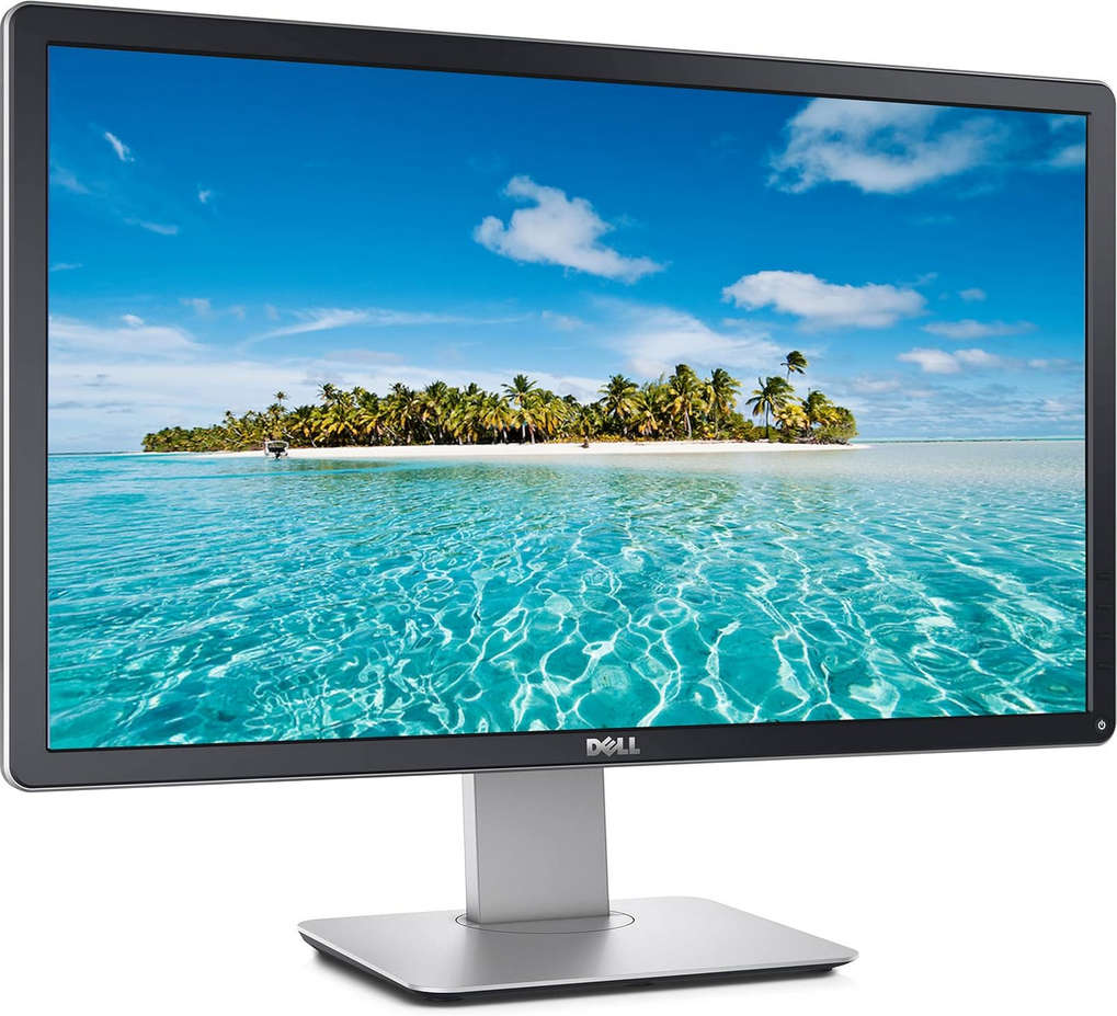 Dell 24-inch Full HD 1080p Widescreen IPS LED LCD Monitor P2414HB (1920×1080) DP VGA DVI