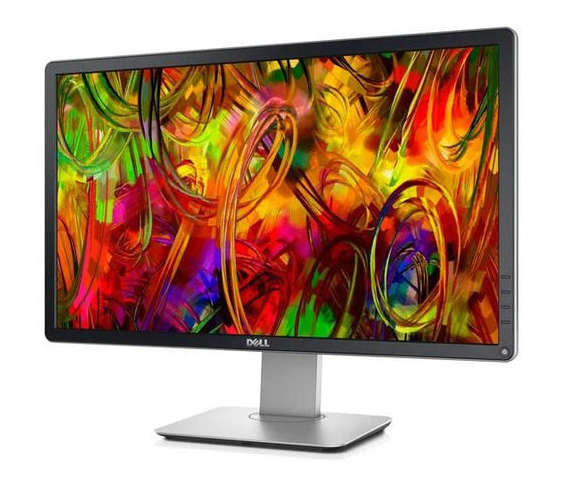 Dell 24-inch Full HD 1080p Widescreen IPS LED LCD Monitor P2414HB (1920×1080) DP VGA DVI