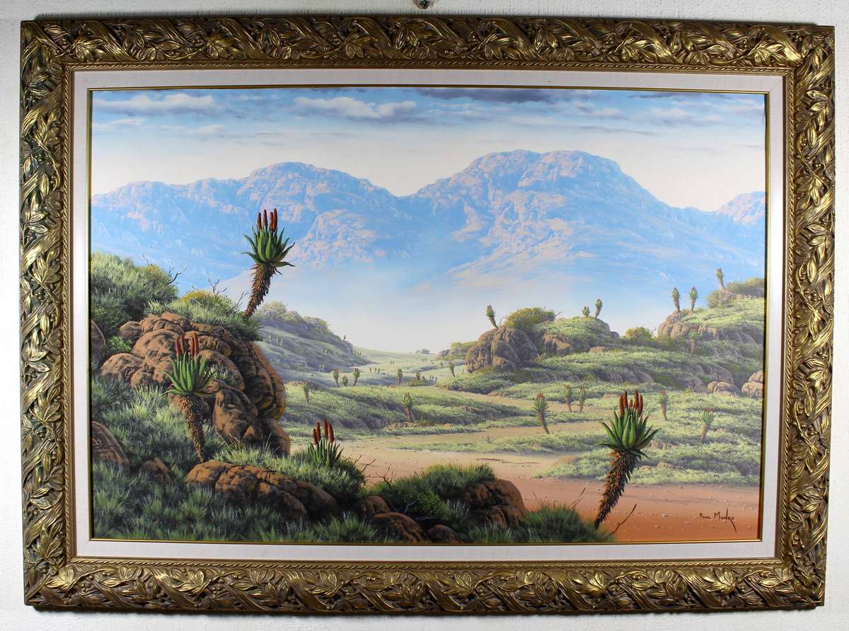 Paul Munro - Aloes in the mountains