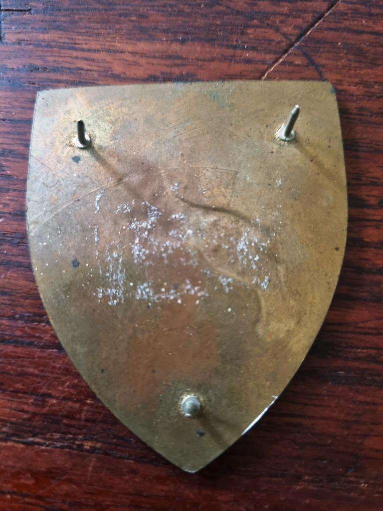 SWATF 911 Battalion Shoulder Flash