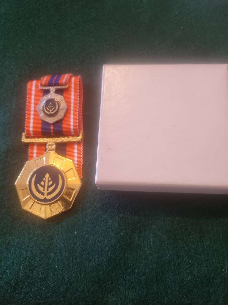 Pro Patria Medal Set - Full size and miniature