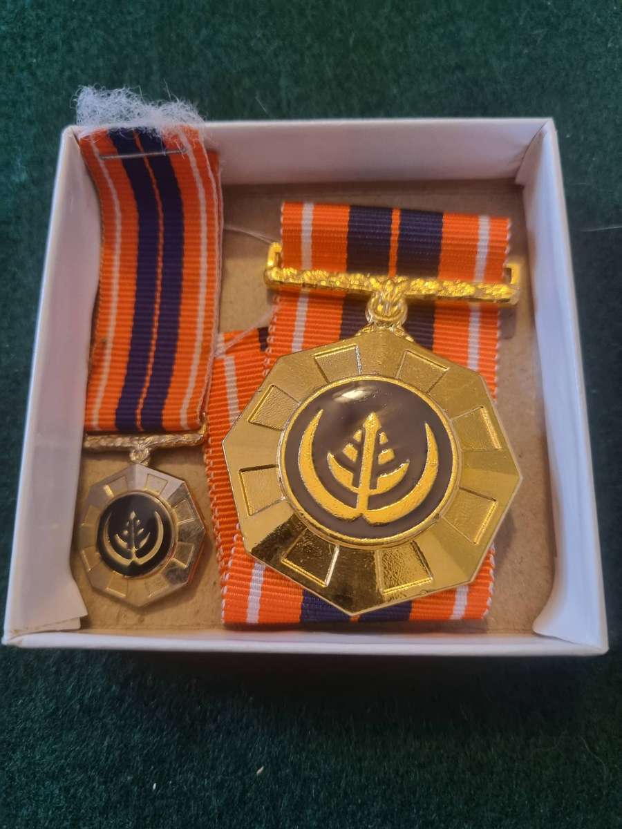 Pro Patria Medal Set - Full size and miniature