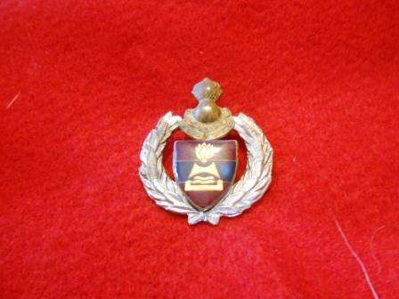 2 Field Engineers Beret badge