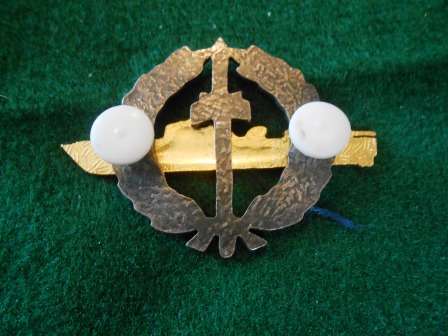 SA Navy Strike Craft Breast Badge