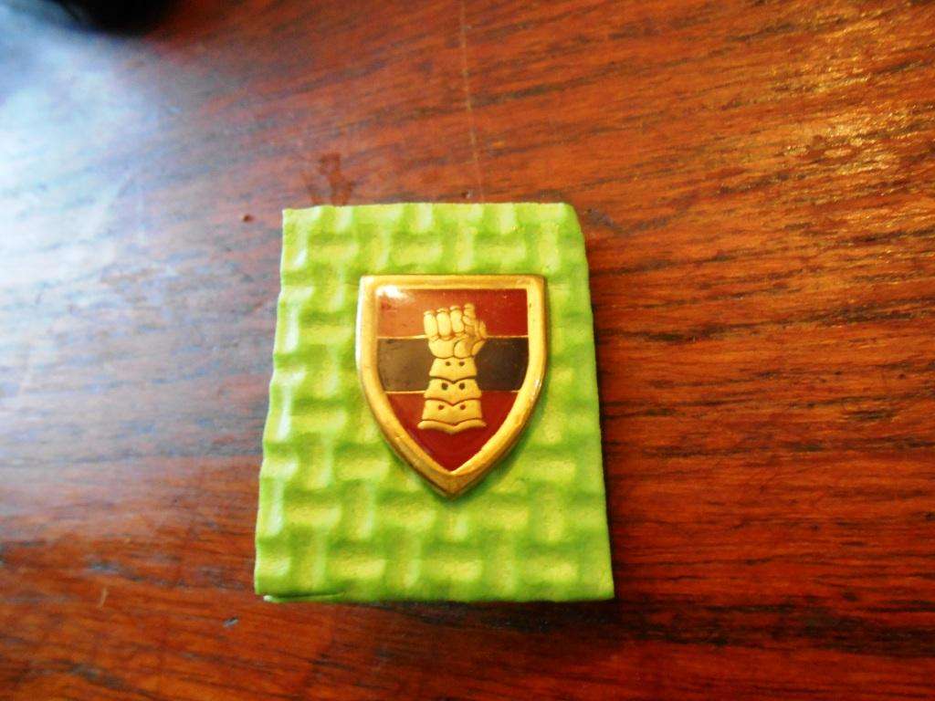 SADF Armour Corps Button badge