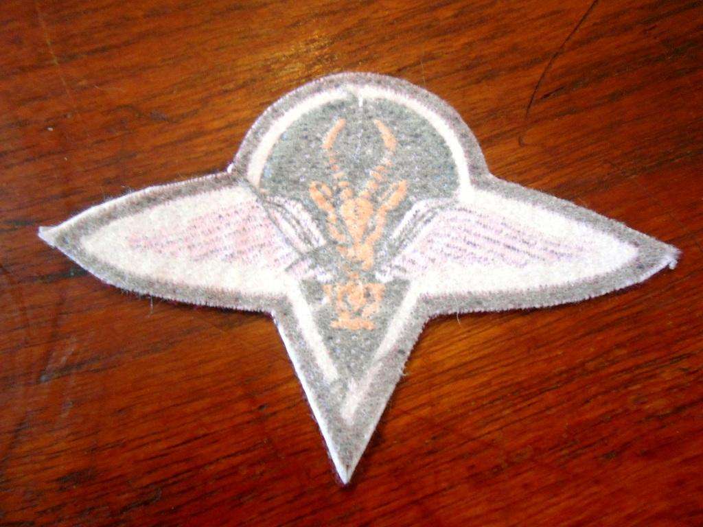 SADF Paratrooper Beret Badge