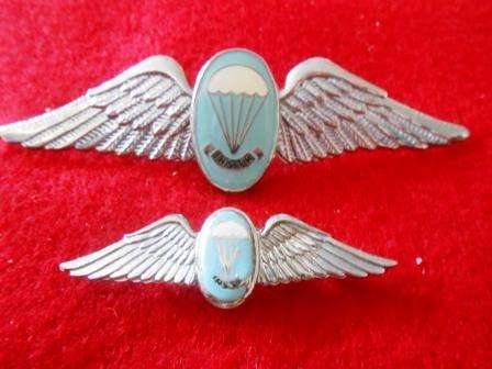 SADF Paratrooper Instructor Wing Set