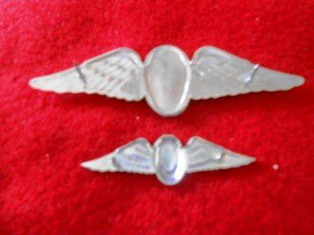 SADF Paratrooper Instructor Wing Set