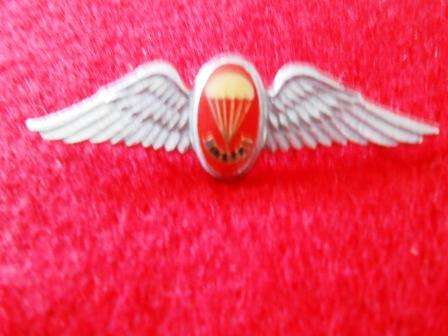 SADF Free Fall Paratrooper Instructor Mess Dress Wing