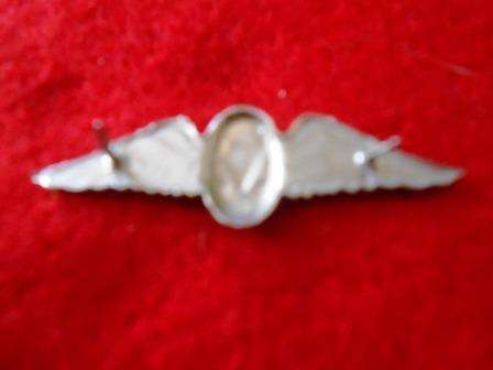 SADF Free Fall Paratrooper Instructor Mess Dress Wing