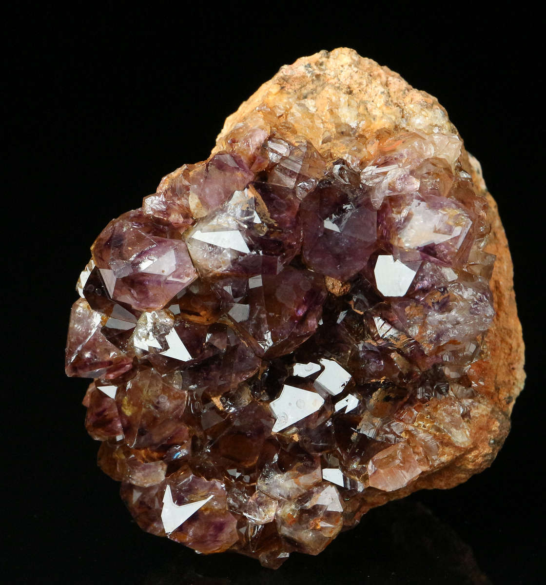 Amethyst Cactus Fairy Quartz, Boekenhouthoek, Mpumalanga, South Africa