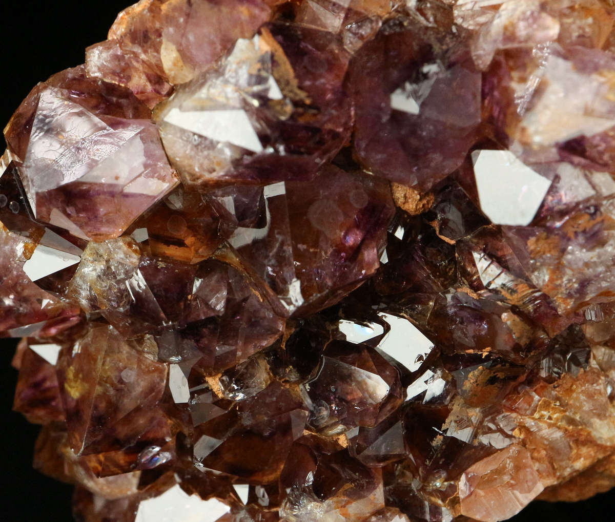 Amethyst Cactus Fairy Quartz, Boekenhouthoek, Mpumalanga, South Africa