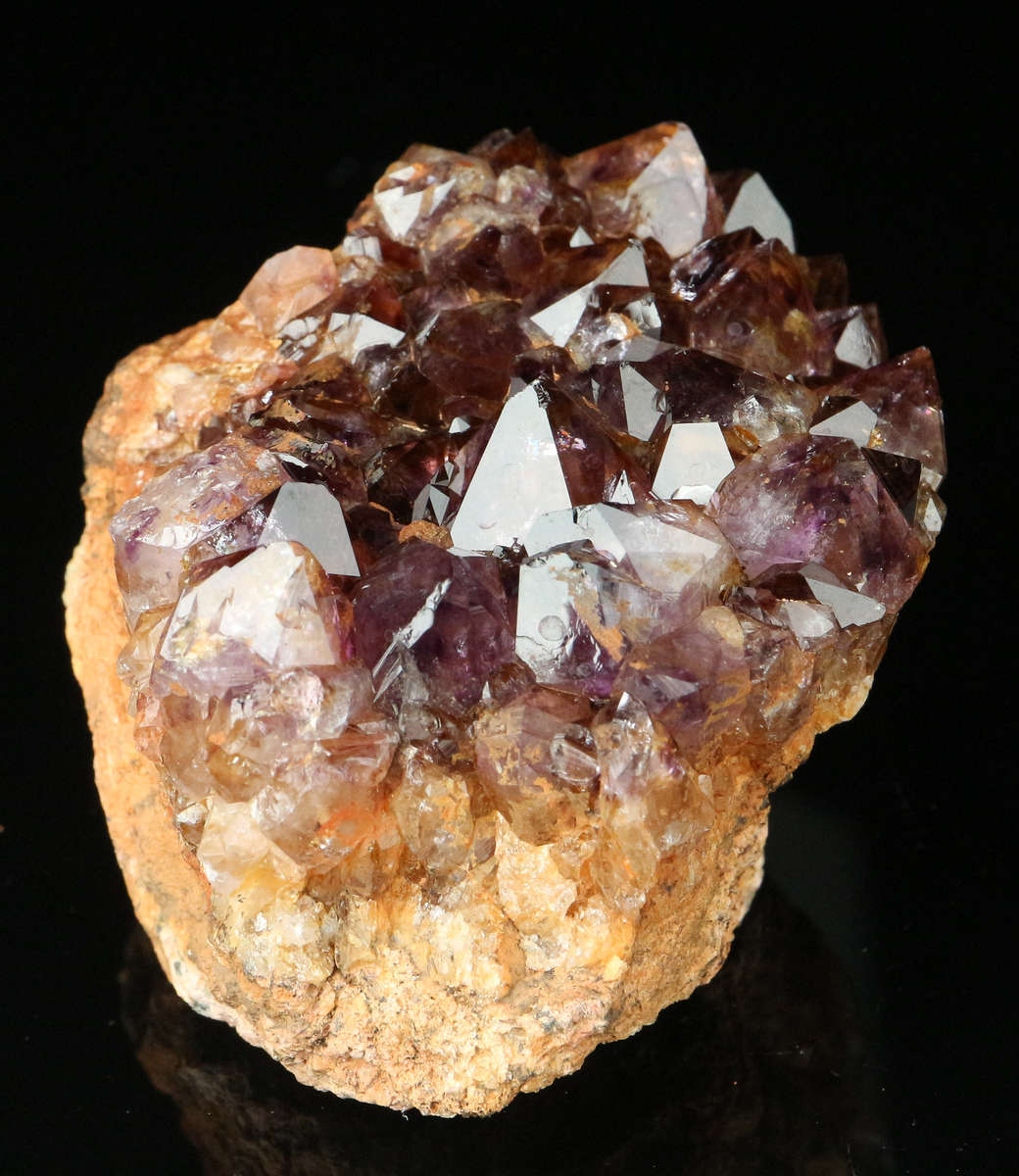 Amethyst Cactus Fairy Quartz, Boekenhouthoek, Mpumalanga, South Africa