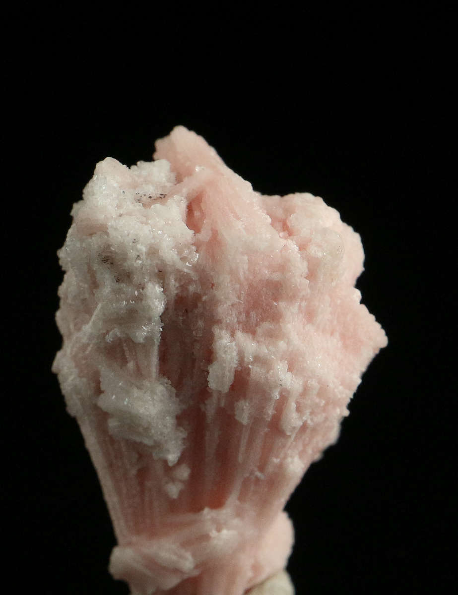 Kutnohorite, "N'Chwaning II Mine, Kalahari Manganese Field, Northern Cape, South Africa. "