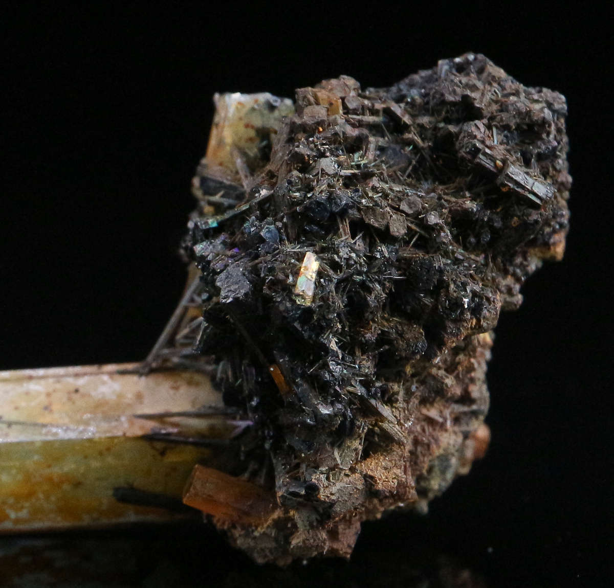 Aquamarine & Schorl, Erongo Mnt Region, Namibia