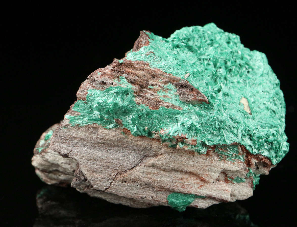 Malachite on Matrix  , Skorpion Mine, Karas Region, Namibia