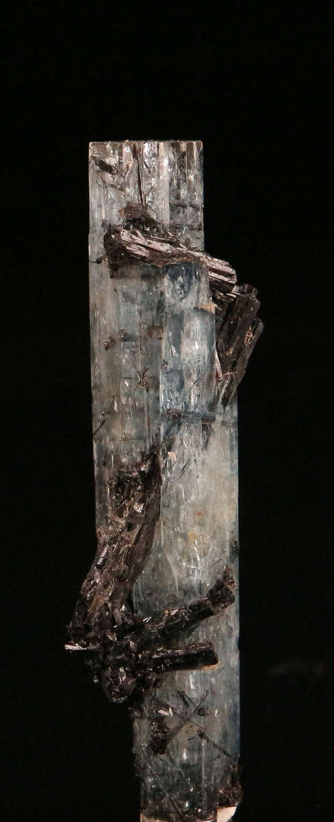 Schorl on Aquamarine, Erongo Mnt Region, Namibia