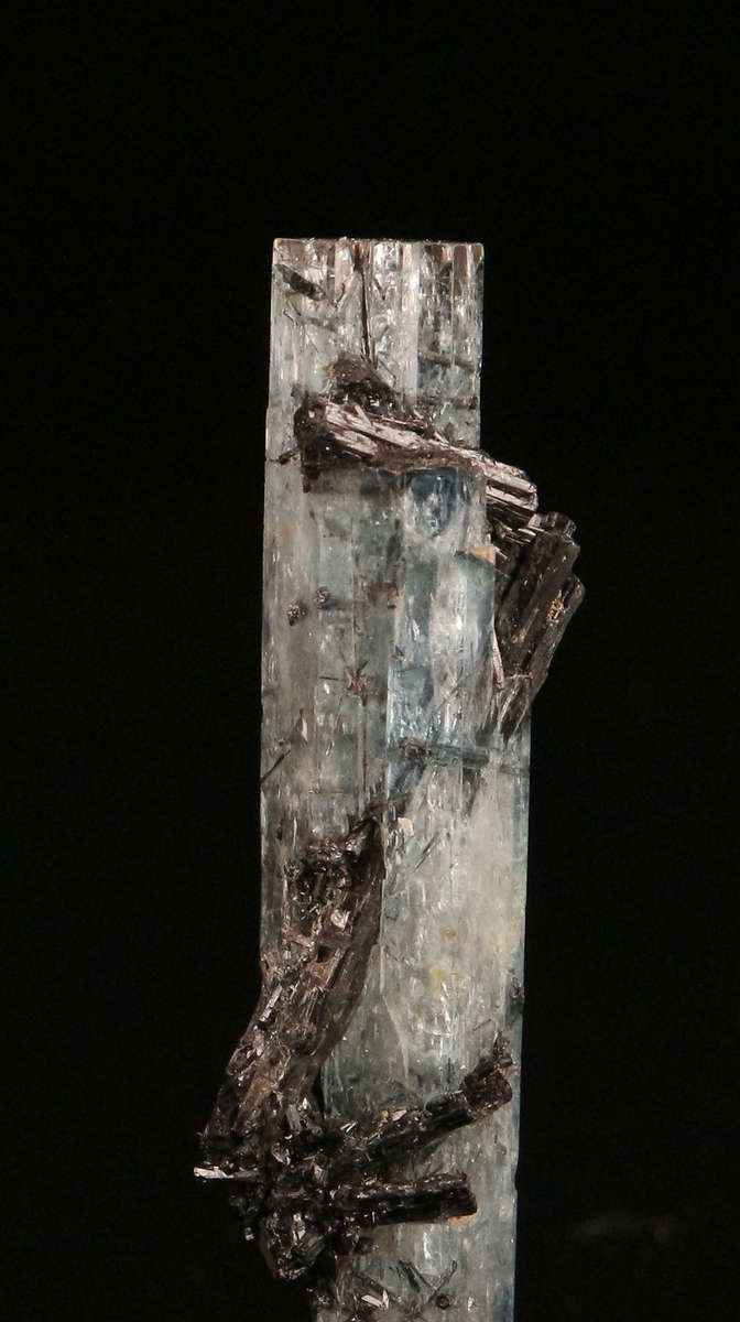 Schorl on Aquamarine, Erongo Mnt Region, Namibia