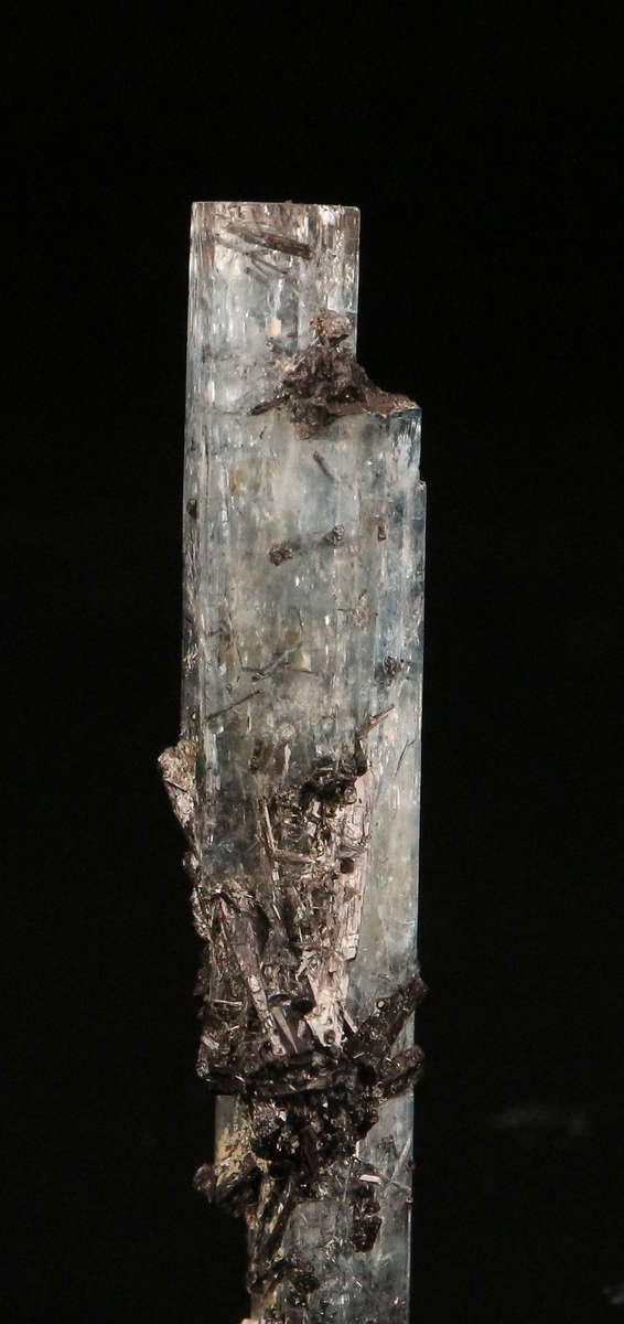 Schorl on Aquamarine, Erongo Mnt Region, Namibia