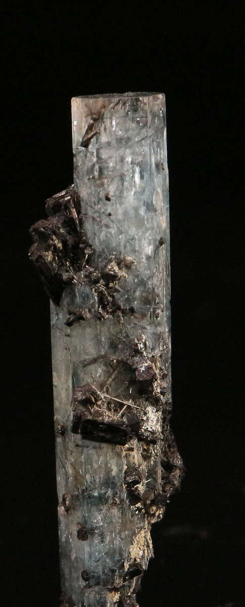 Schorl on Aquamarine, Erongo Mnt Region, Namibia