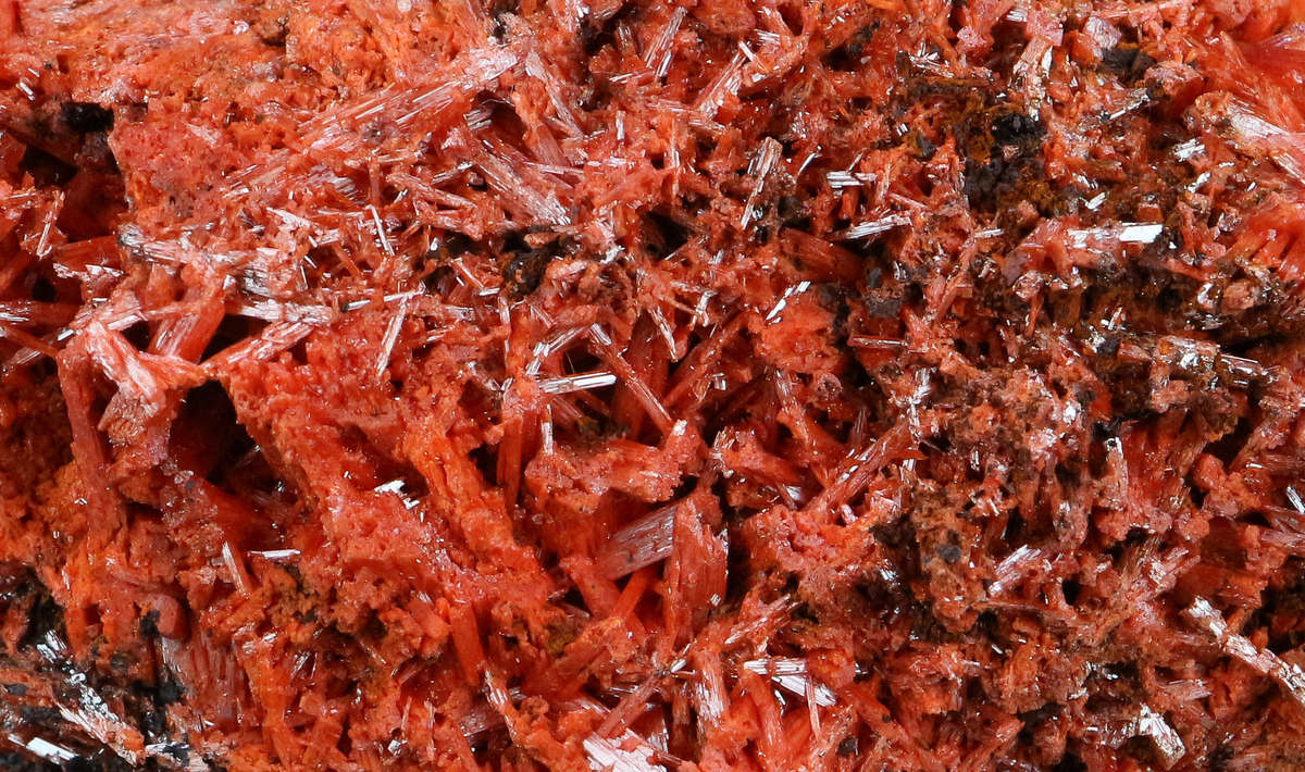 Crocoite Cluster, Tasmania