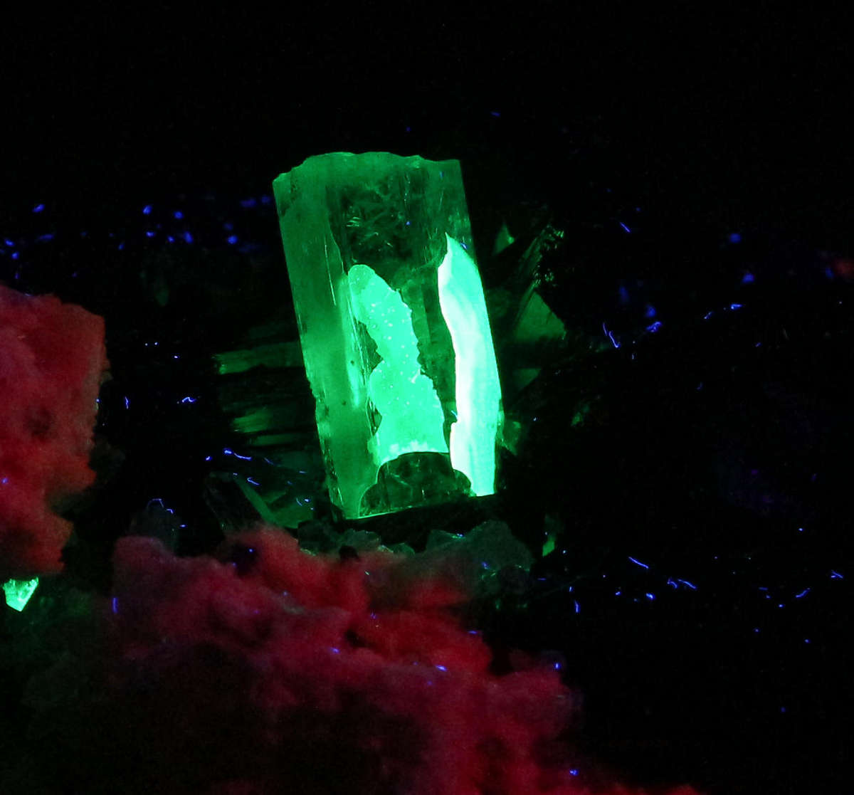 Aquamarine & Schorl, Erongo Mnt Region, Namibia