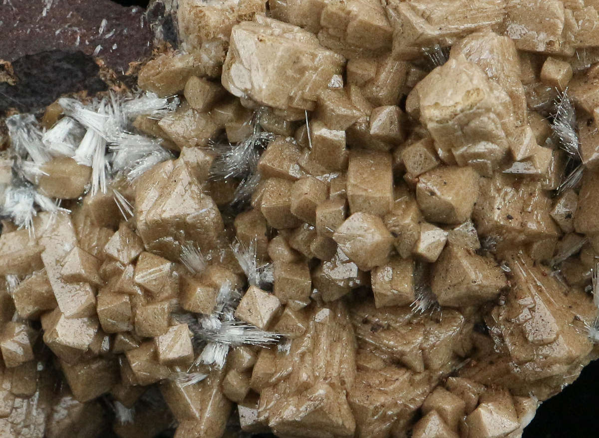 Olmiite on Matrix, "N'Chwaning II Mine, Kalahari Manganese Field, Northern Cape, South Africa "