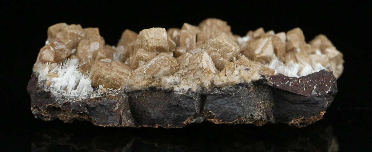 Olmiite on Matrix, "N'Chwaning II Mine, Kalahari Manganese Field, Northern Cape, South Africa "