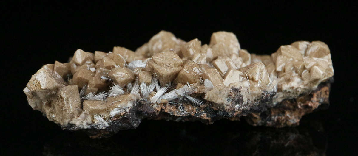 Olmiite on Matrix, "N'Chwaning II Mine, Kalahari Manganese Field, Northern Cape, South Africa "