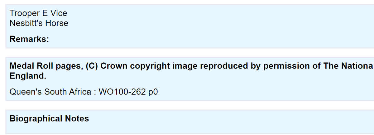 QSA - Queen South African Medal - Trooper E Vice - Nesbitt's Horse