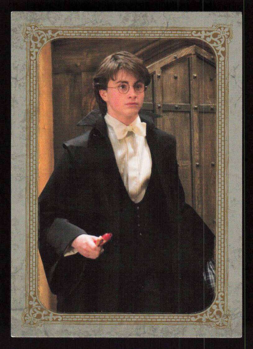 22 Panini Evolution Trading Cards - Harry Potter Card 217