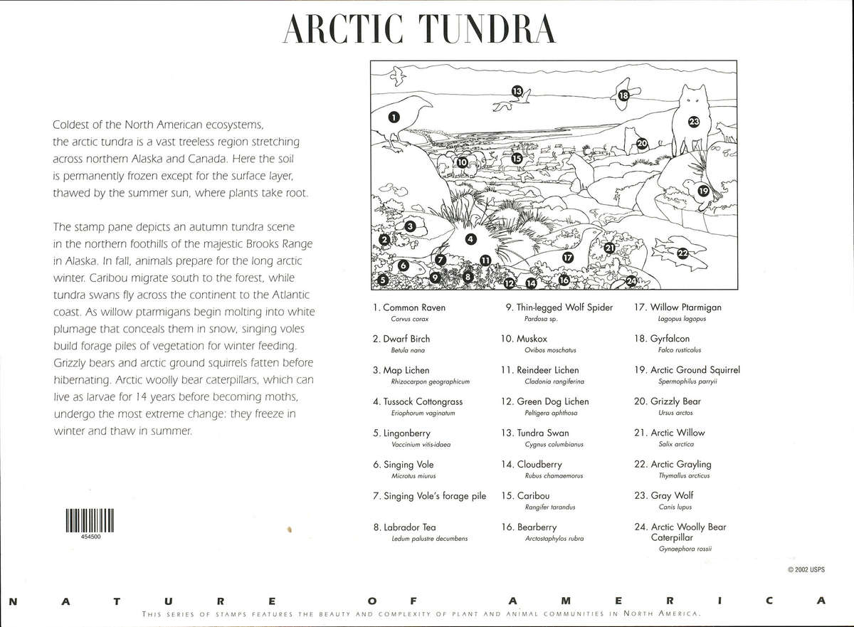 2003 Arctic Tundra: (Nature of America) Full Pane of Ten x 37-Cents Postage Stamps. Scott #3802.