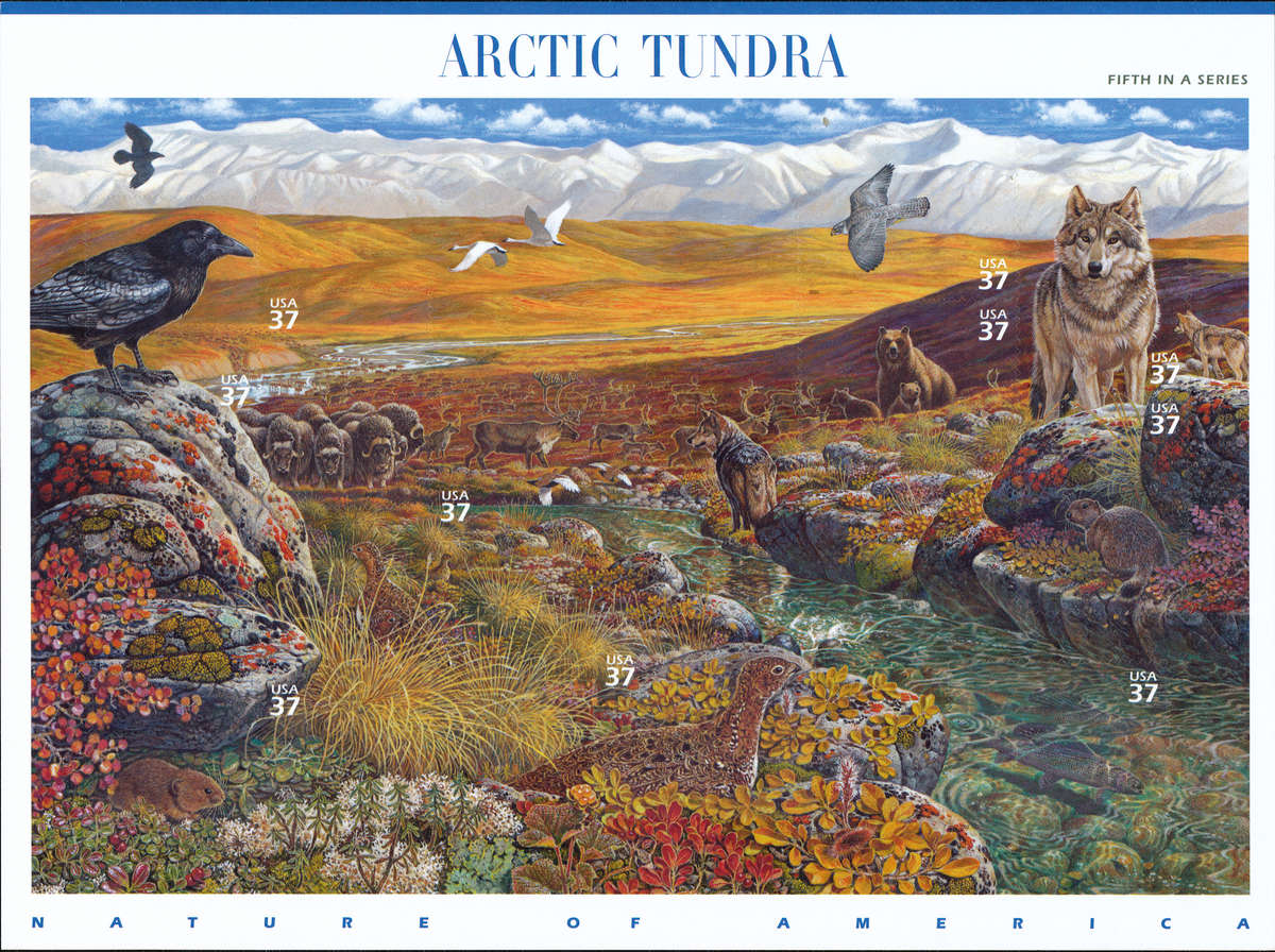 2003 Arctic Tundra: (Nature of America) Full Pane of Ten x 37-Cents Postage Stamps. Scott #3802.