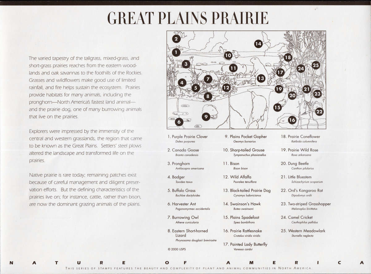 2001 Great Plains Prairie: (Nature of America) Ten Self-adhesive x 34-Cent Postage Stamps.