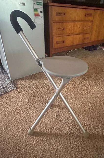 Walking stick stool