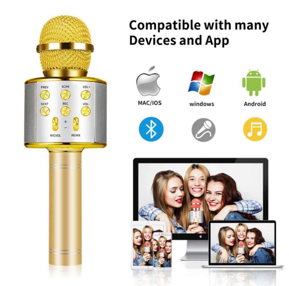 Karaoke Microphone Speaker