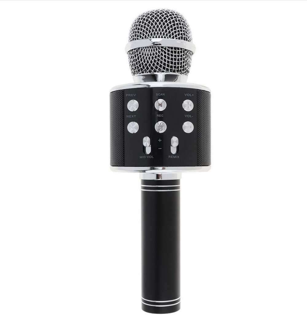 Karaoke Microphone Speaker