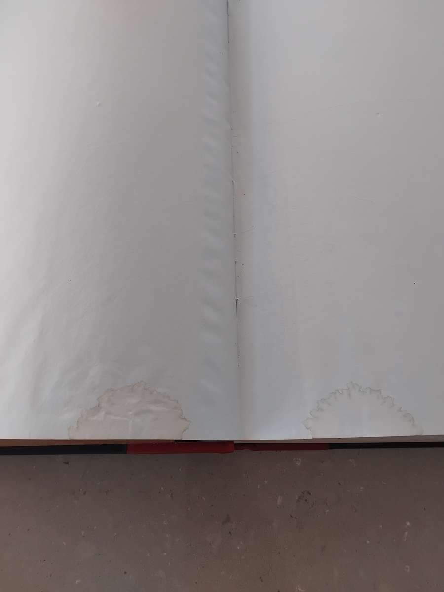 Vintage Corporate Minute Book, Quarter Bind in Red Leather, and unused