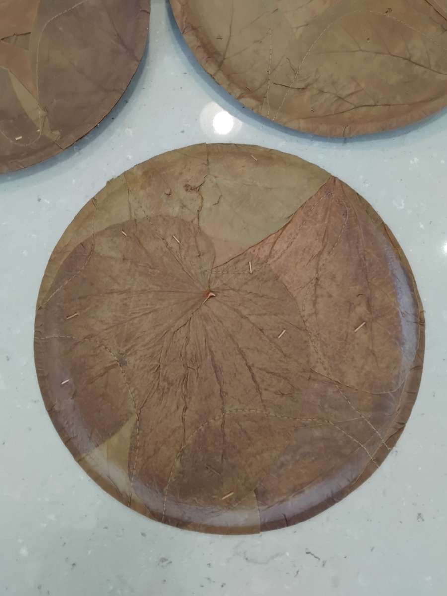 Chic, Unusual Made from 100% SAL & SIALI LEAVES Special 14 Eco Dining Plates made in India. Unused!!