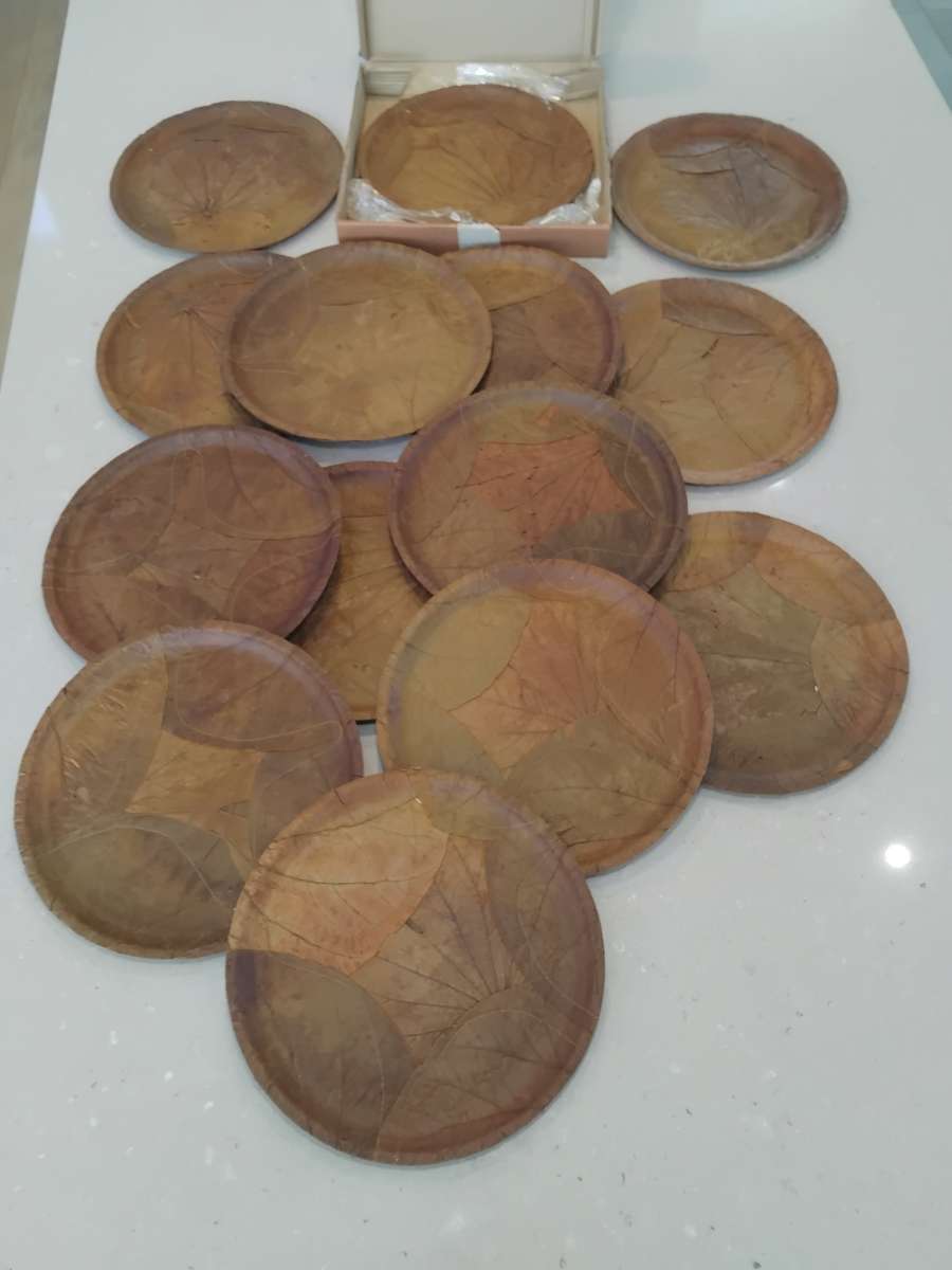 Chic, Unusual Made from 100% SAL & SIALI LEAVES Special 14 Eco Dining Plates made in India. Unused!!