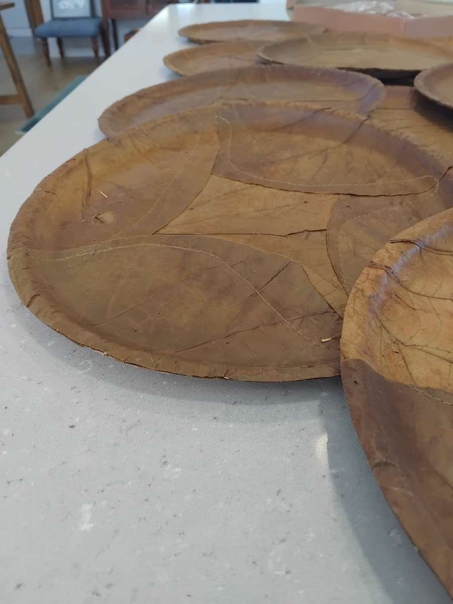 Chic, Unusual Made from 100% SAL & SIALI LEAVES Special 14 Eco Dining Plates made in India. Unused!!