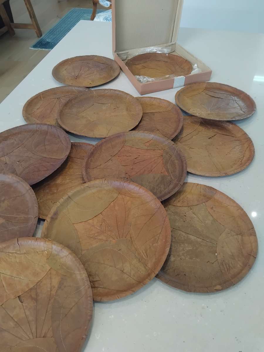Chic, Unusual Made from 100% SAL & SIALI LEAVES Special 14 Eco Dining Plates made in India. Unused!!