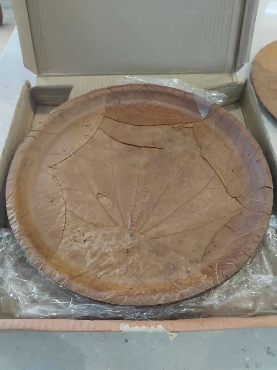 Chic, Unusual Made from 100% SAL & SIALI LEAVES Special 14 Eco Dining Plates made in India. Unused!!