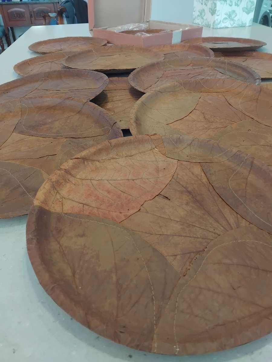Chic, Unusual Made from 100% SAL & SIALI LEAVES Special 14 Eco Dining Plates made in India. Unused!!