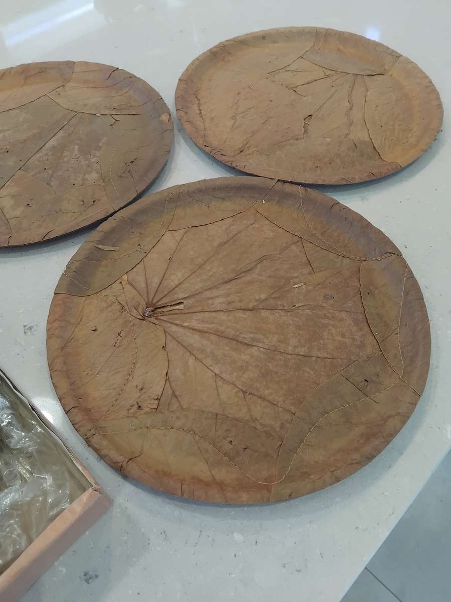 Chic, Unusual Made from 100% SAL & SIALI LEAVES Special 14 Eco Dining Plates made in India. Unused!!