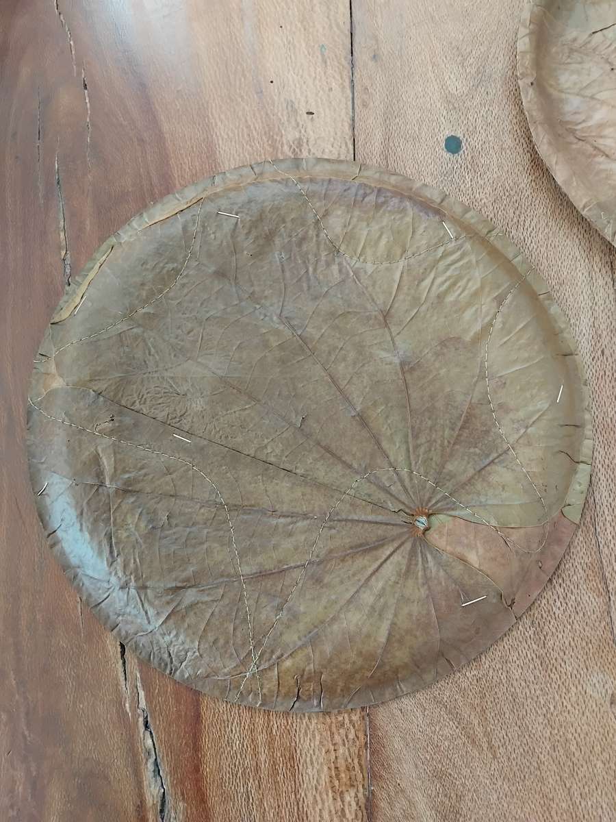 Chic, Unusual Made from 100% SAL & SIALI LEAVES Special 14 Eco Dining Plates made in India. Unused!!